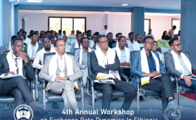 4th-Annual-CEED-Workshop-Held-at-Kebri-Dehar-University