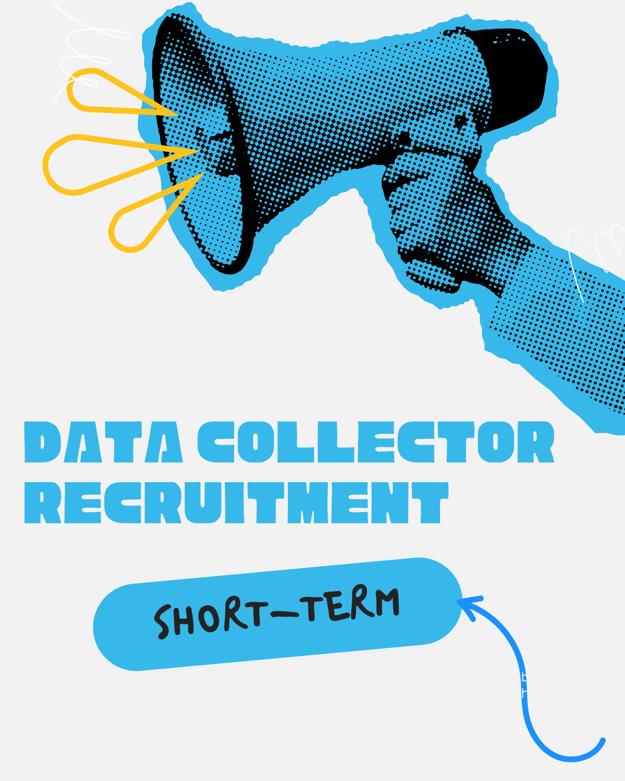 Data Collection Assistant Short-Term Data Collector Recruitment – EEA