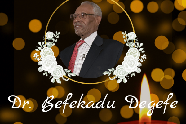 Dr. Befekadu Degefe
