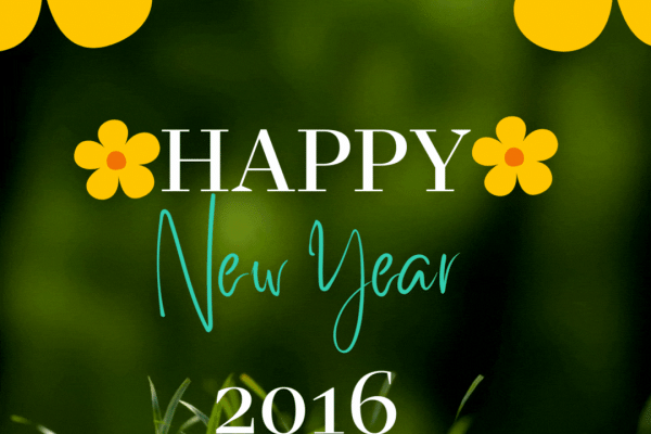 EEA New year 2016
