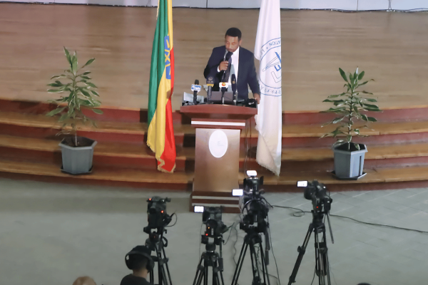 Media Brief