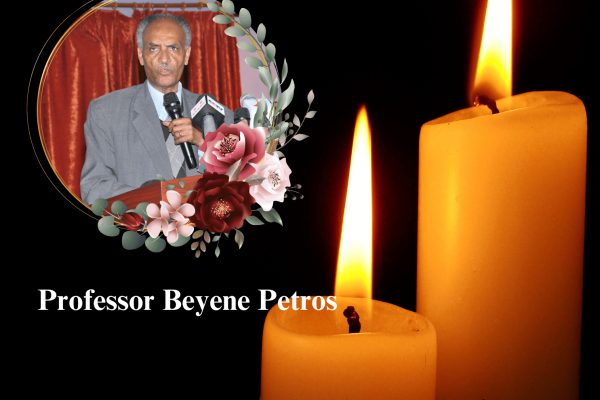 Professor Beyene Petros