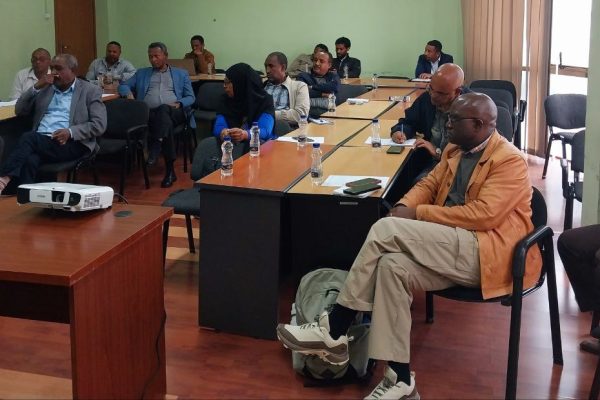Ethiopian Economics Association