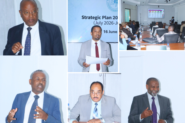 Strategic Plan