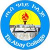 Tis-Abay-college