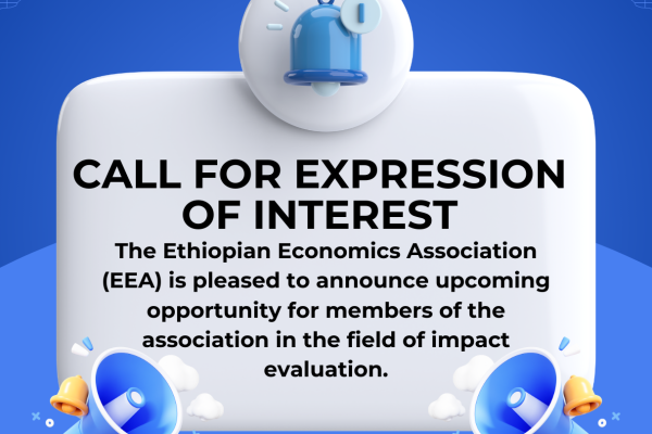 Training on Impact Evaluation at Ethiopian Economics Association (EEA)